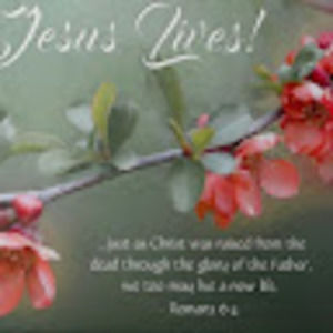 Meet your Posher, Adriahna